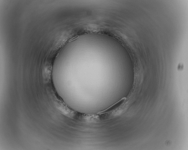 X0000093520576200710261222