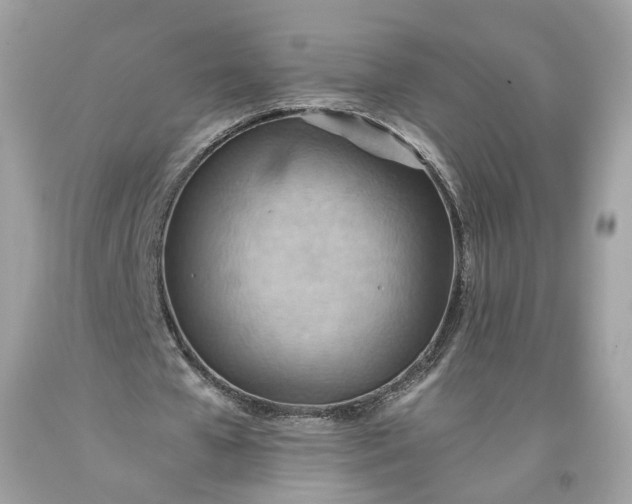 X0000093520577200710261221