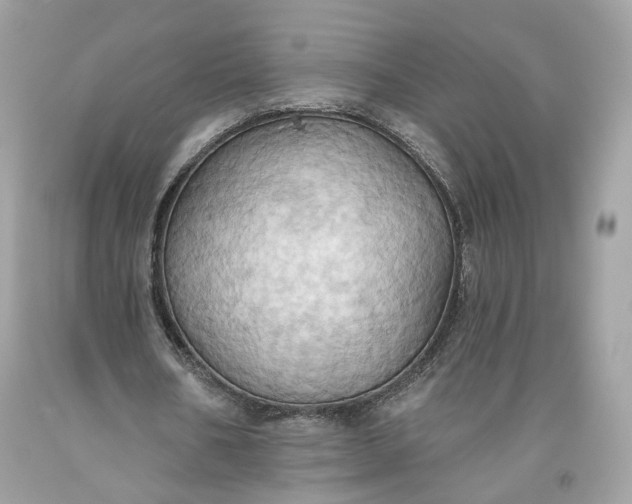 X0000093520578200710261221