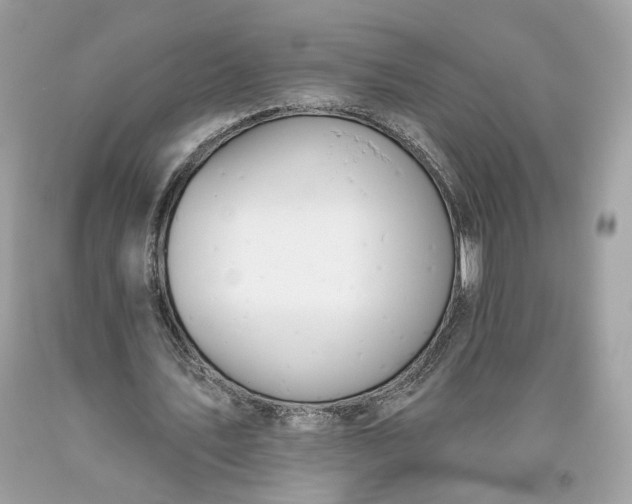 X0000093520579200710261221