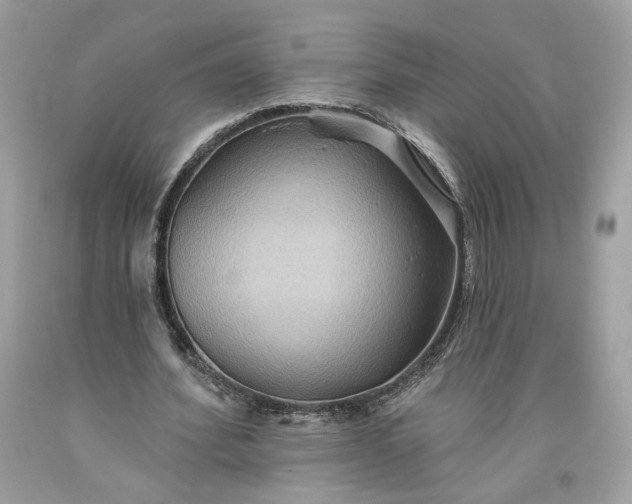 X0000093520580200710261221