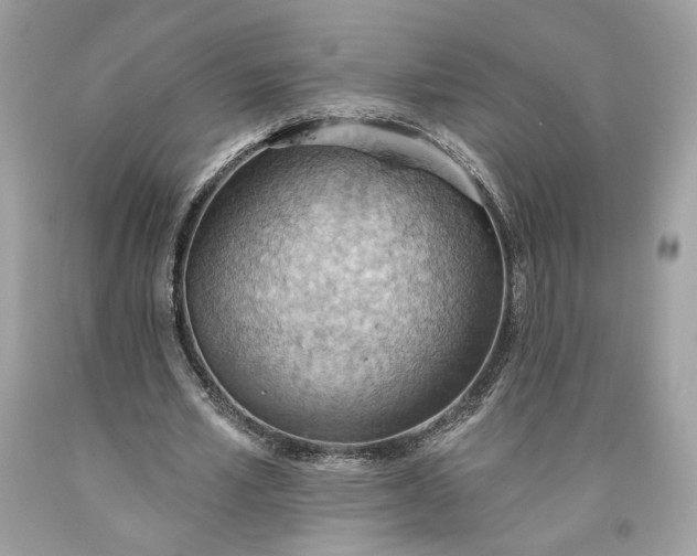 X0000093520581200710261221