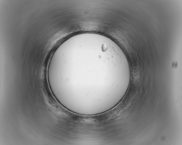 X0000093520583200710261221