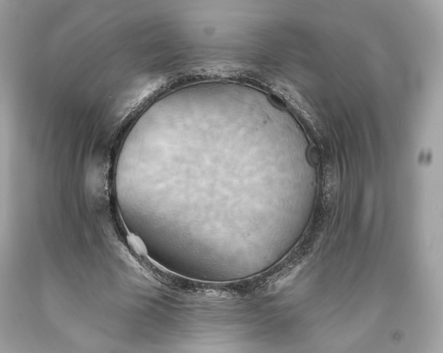 X0000093520585200710261221