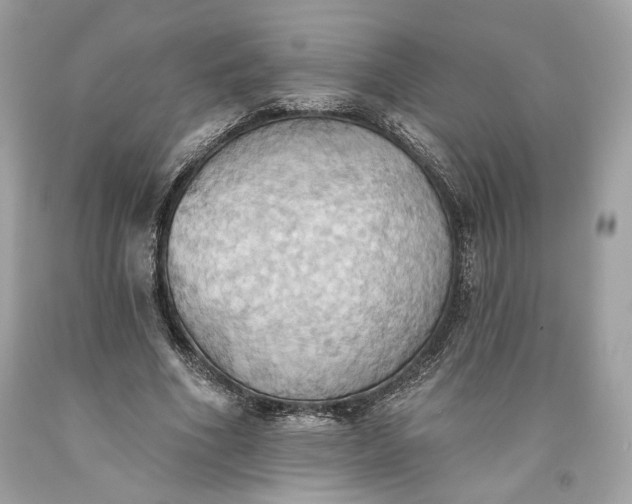 X0000093520586200710261221