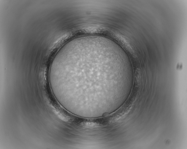 X0000093520590200710261221