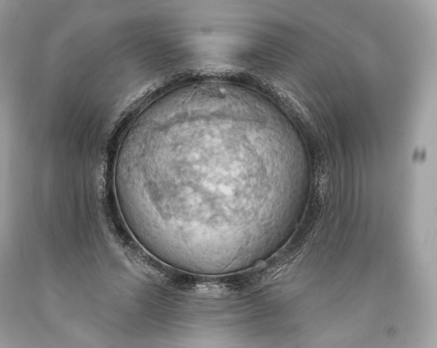 X0000093520591200710261221