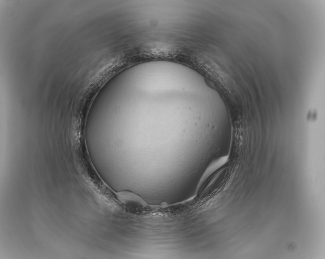 X0000093520593200710261221