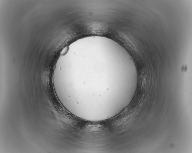 X0000093520595200710261221