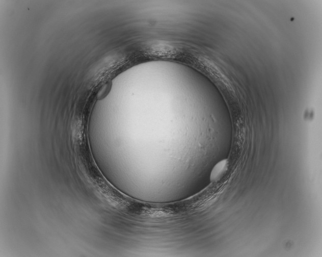 X0000093520597200710261221