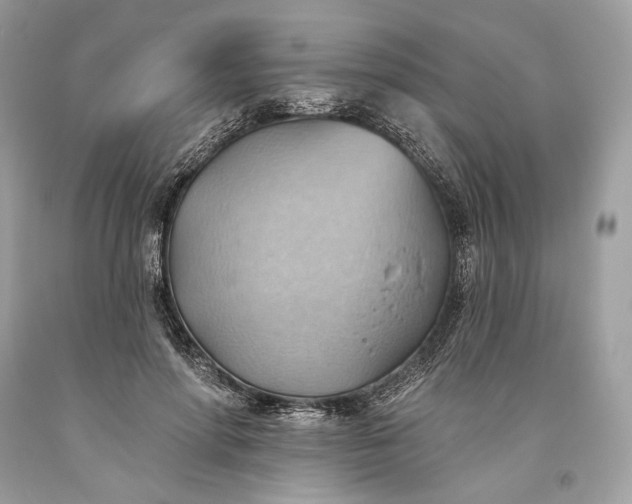 X0000093520598200710261221