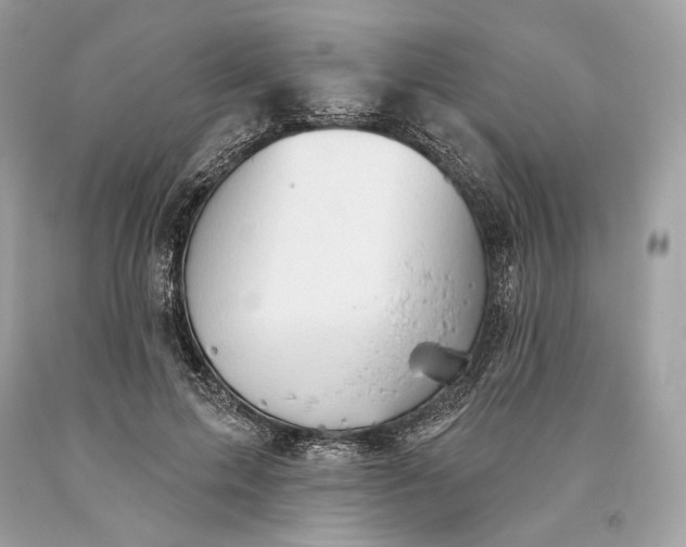 X0000093520599200710261221