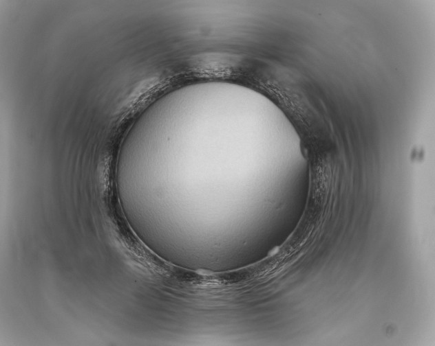 X0000093520600200710261221