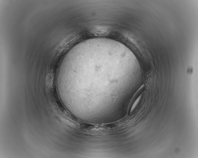 X0000093520604200710261221