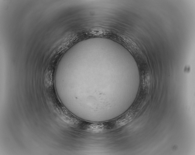 X0000093520606200710261221