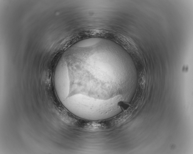 X0000093520607200710261221