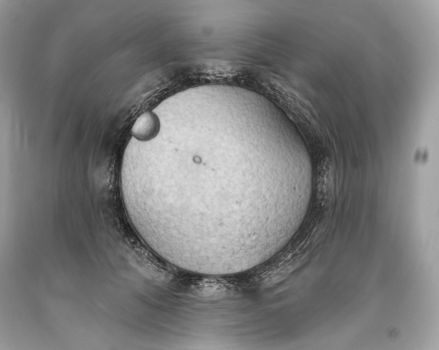 X0000093520608200710261221