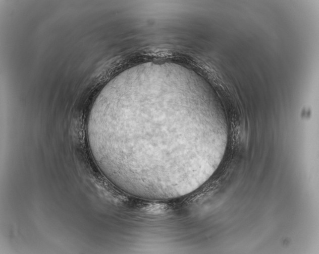 X0000093520609200710261221