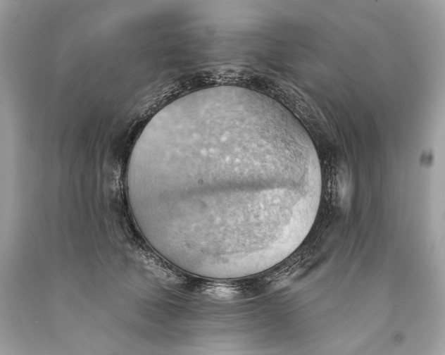 X0000093520610200710261221