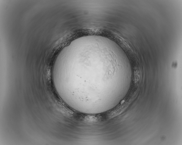 X0000093520613200710261221