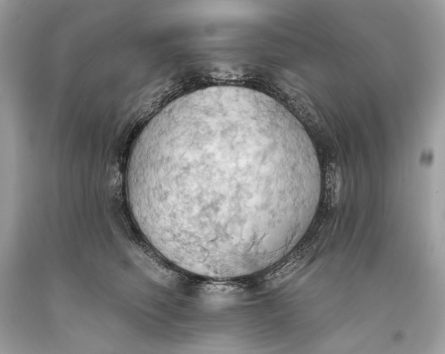 X0000093520614200710261221