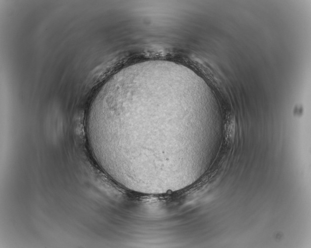 X0000093520616200710261221