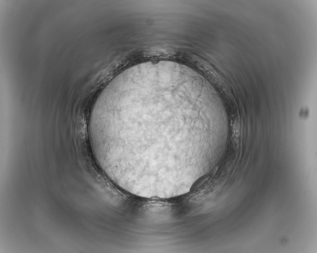 X0000093520617200710261221