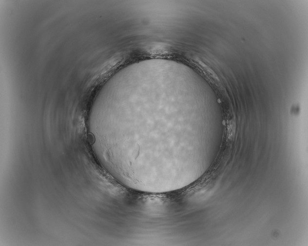 X0000093520618200710261221