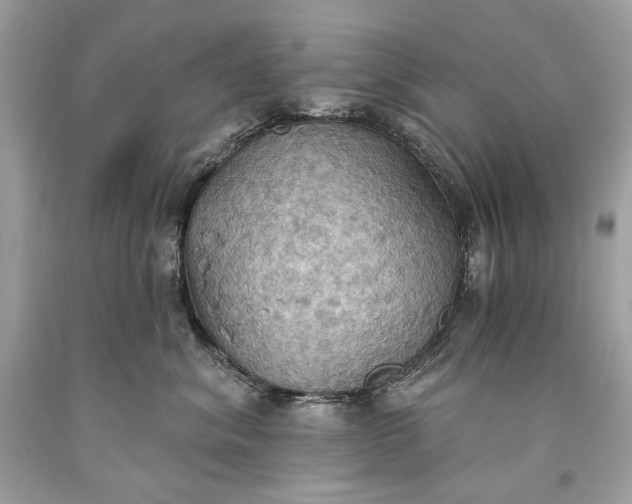 X0000093520620200710261221