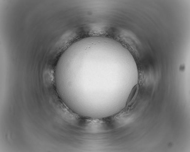 X0000093520621200710261221