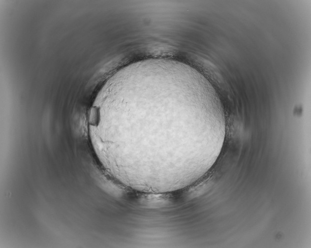 X0000093520622200710261221