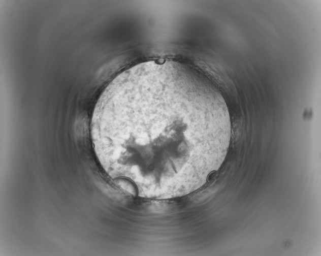 X0000093520623200710261221