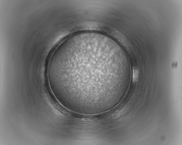 X0000093520627200710261220