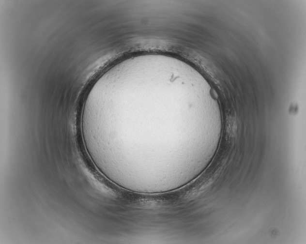 X0000093520629200710261220