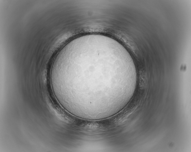 X0000093520631200710261220