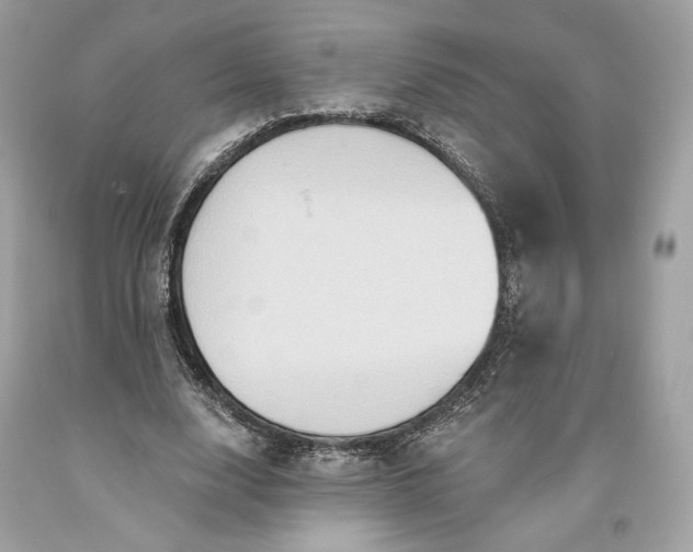 X0000093520632200710261220