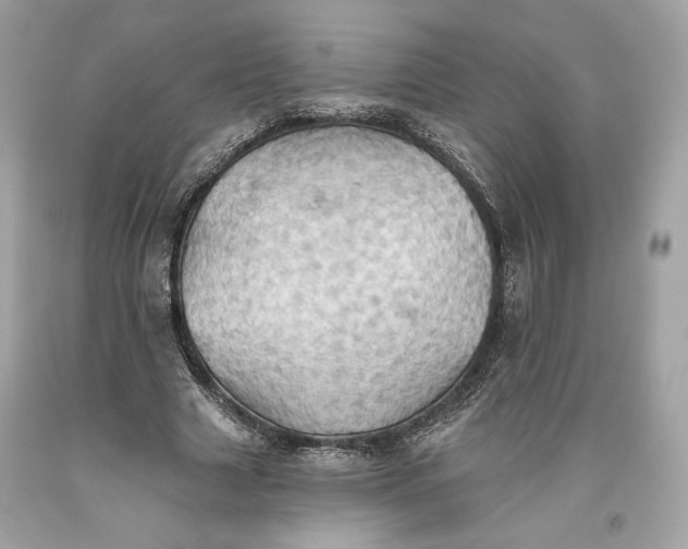 X0000093520633200710261220