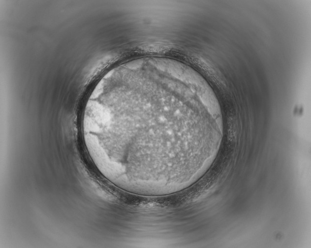 X0000093520634200710261220