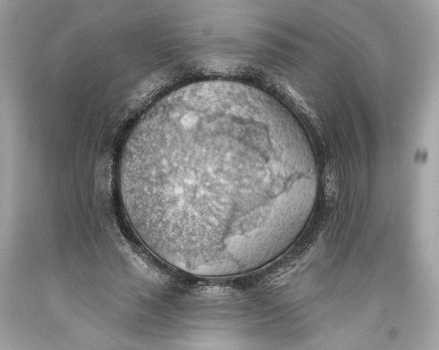 X0000093520637200710261220