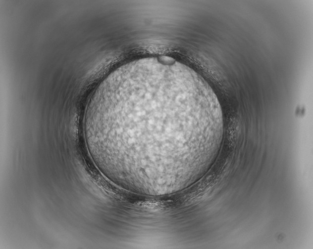 X0000093520639200710261220