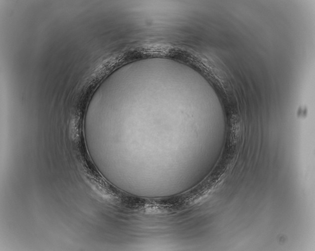 X0000093520641200710261220