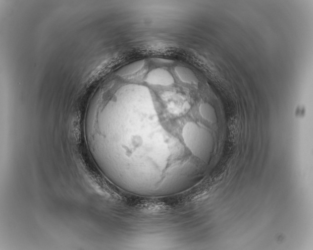 X0000093520642200710261220