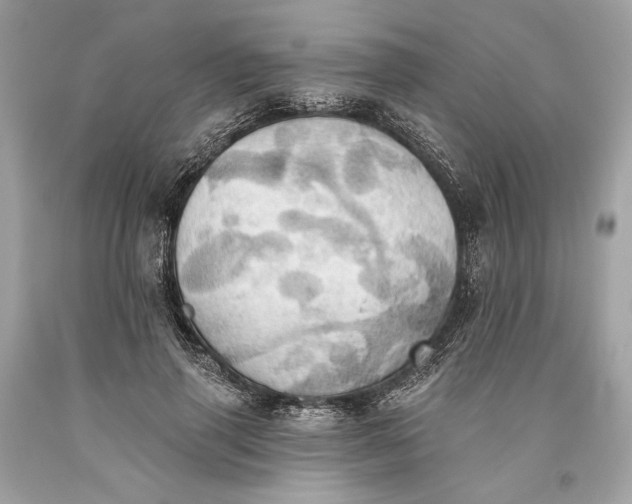 X0000093520645200710261220