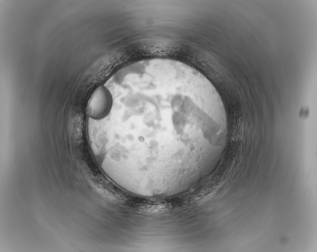 X0000093520646200710261220