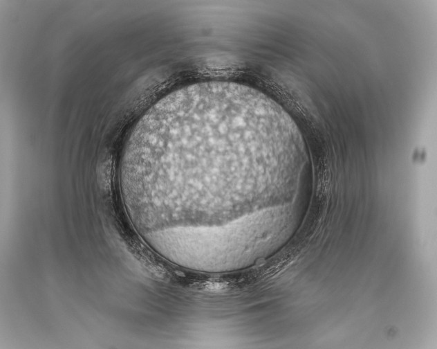 X0000093520647200710261220