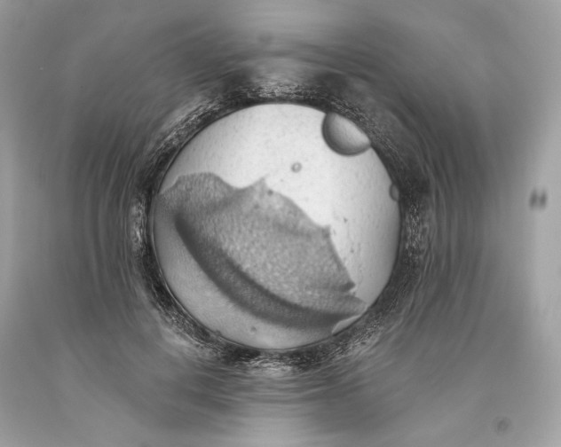 X0000093520648200710261220