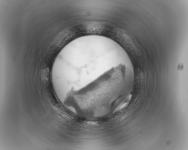 X0000093520649200710261220