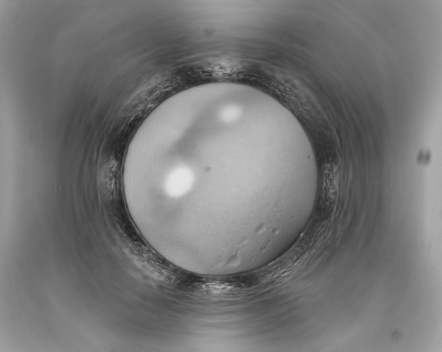 X0000093520650200710261220