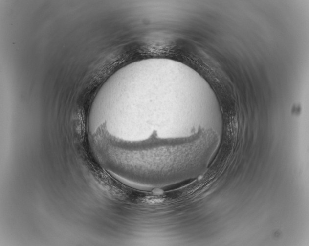 X0000093520651200710261220