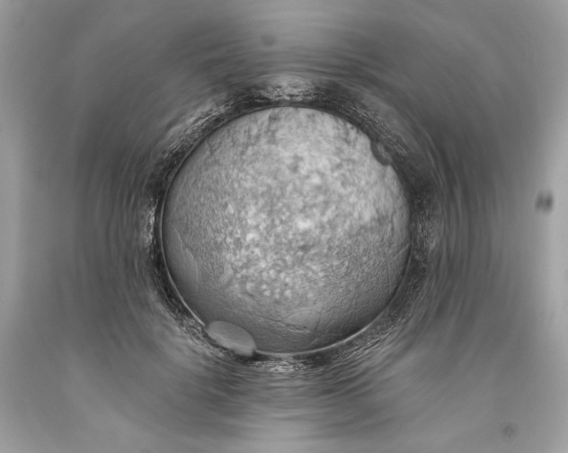 X0000093520652200710261220